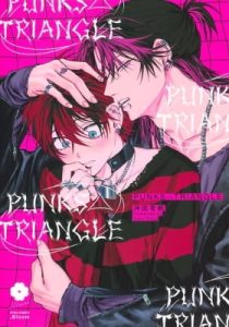 PUNKS TRIANGLE