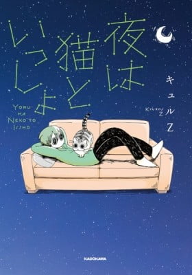 Nights With a Cat Nights With a Cat